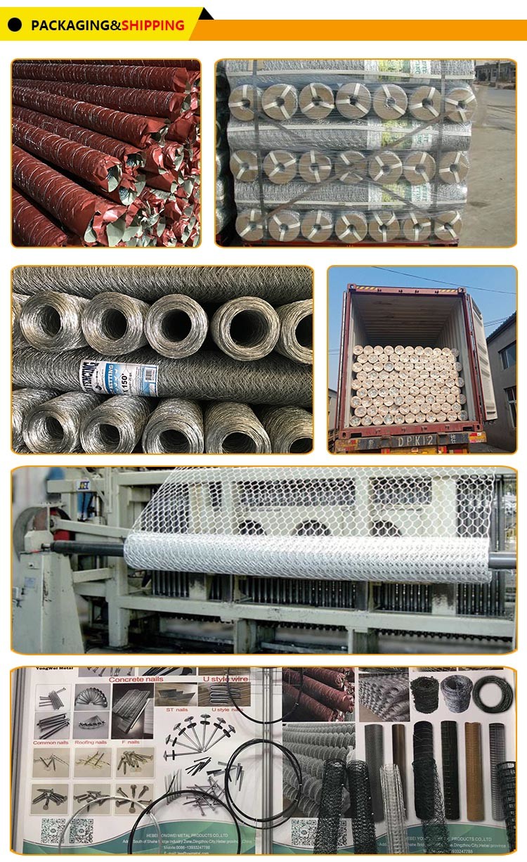 Chicken Protecting Galvanized Hexagonal Wire Mesh Durable Construction