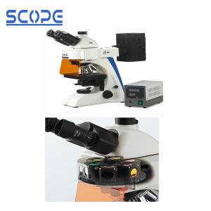 Buy cheap Infinity Optical Trinocular Biological Microscope , Trinocular Compound Microscope product