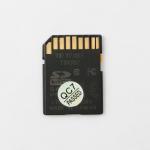 1TB 2TB memory card Memory Cards Class 10 Mini Sd Card For Dash Cam