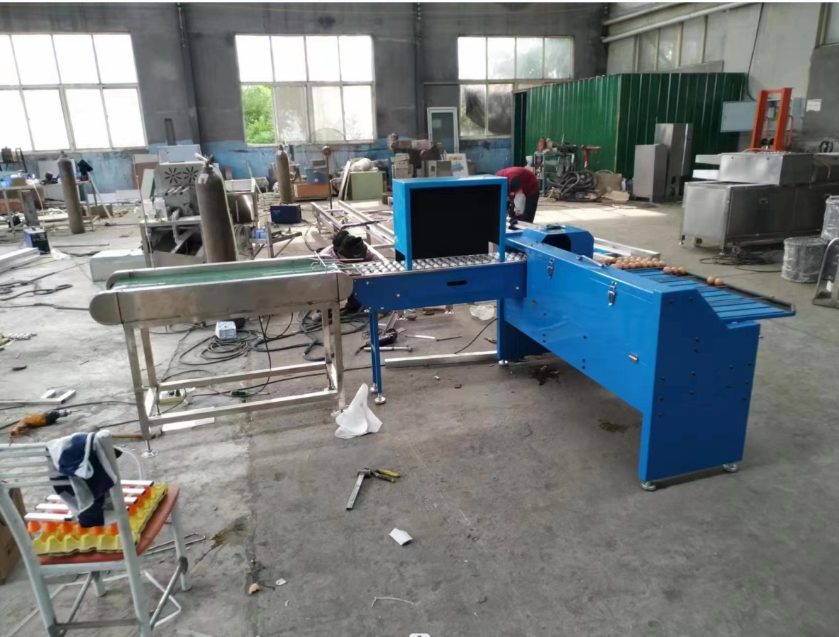 Egg Sorting And Washing Machine Egg Sorter Machine Egg Grader Machine