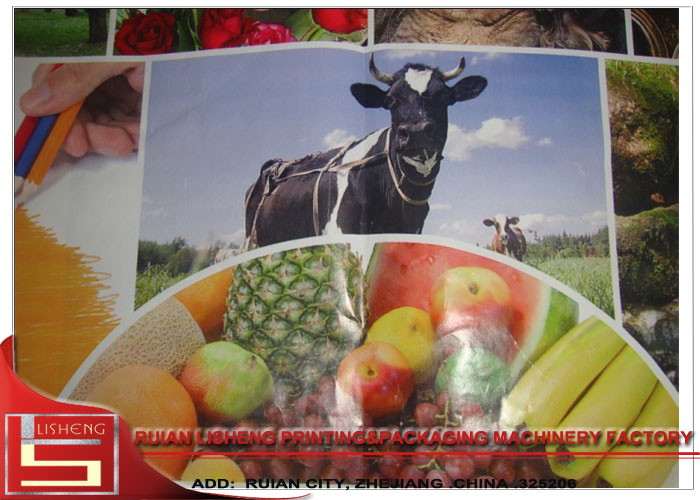 Durable Rotogravure Printing Machine , Flexographic Printing Machine