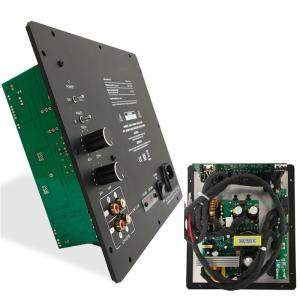 Powerful PA DJ Class D Subwoofer Plate Amplifier Module 500W RMS 4 Ohm Custom