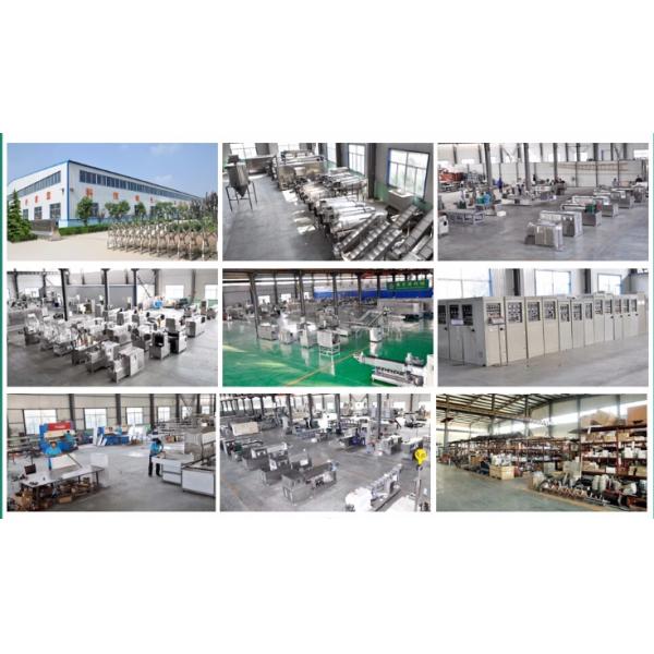 Multi Function Pet Food Processing Machine Extruder Dry Pet Dog Food Machine