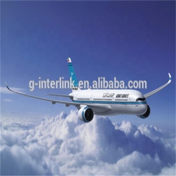 Quality DAP Service Door To Door Express Shipping Service With Dangerous Goods Consultation for sale