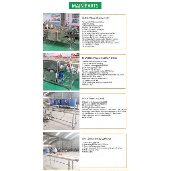 SS304 Vegetable And Fruit Washing Machine Mango Processing Line