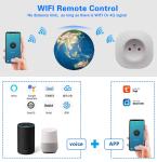 16A 20A Smart Light Socket Voice Activated Wireless Electric Socket Overload