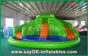 China Wet Dry Inflatable Slide Giant Inflatable Bouncer Slide For Poor , Adult Kids Frog Bouncy Castle on sale