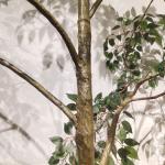 Custom Corner Artificial Ficus Tree Space Decoration Minimalist Style