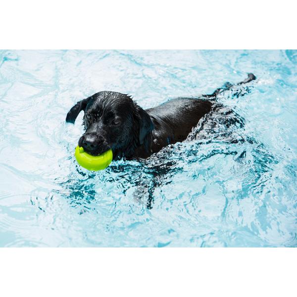 Chew Resistant Super Durable Dog Toys Squeaky Rubber Donut Dog Toy Clean Teething