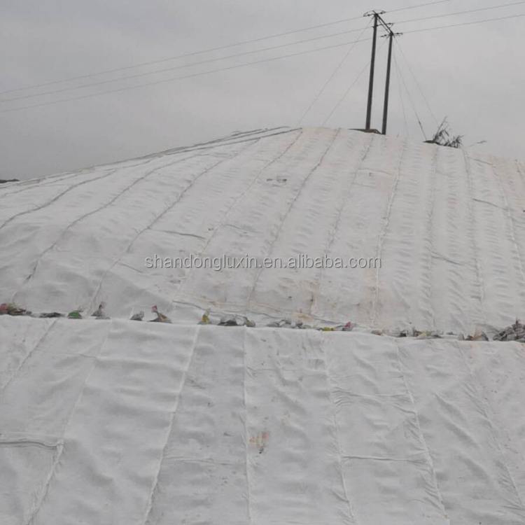 density Polyethylene Plastic Geotextile and Geonet 3D Composite Drainage Net Ideal