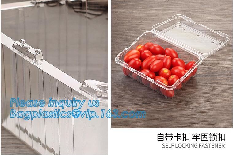 Blister large clear plastic fruit container with lid for fruit packaging,blister fruit box /container/ fruit Tray/ Clear