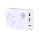 PIR motion sensor sound module box
