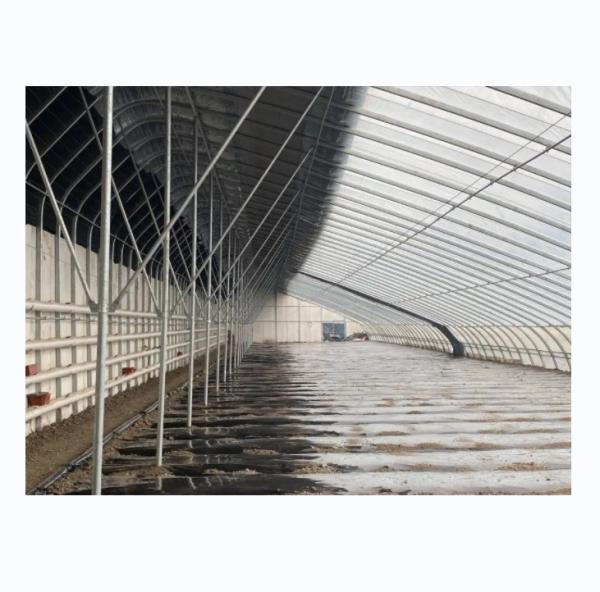 Quality Solar Winter Greenhouses Warm Agricultural Greenhouse with Galvanized Steel Frame for sale