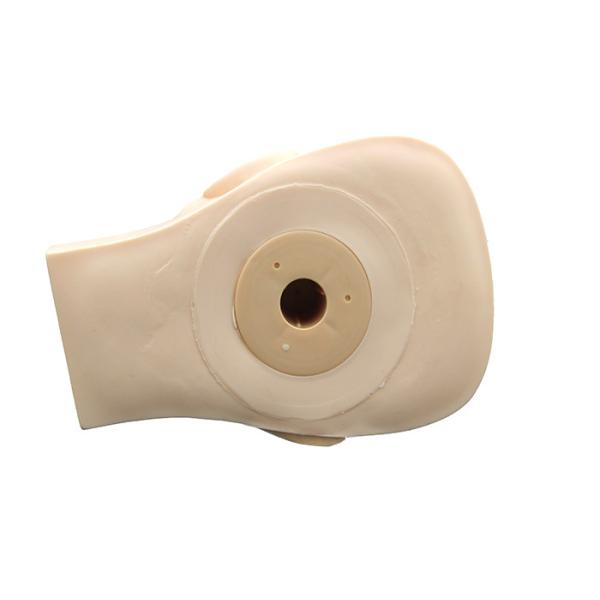 Rubber Practice Mannequin Head With Demountable Eyes / Mouth For Beginner