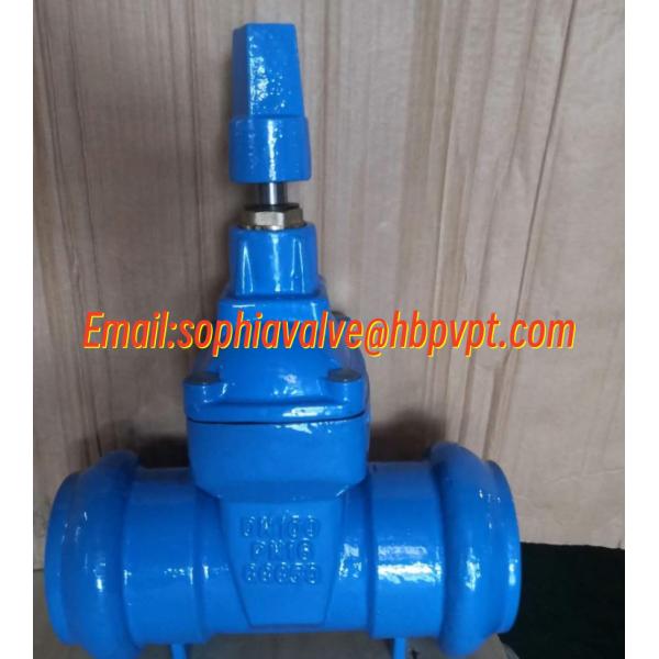 DN50 PN16 GGG50 socket gate valve supplier