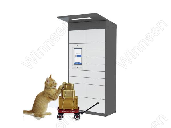 Quality Sms Sending Oem Parcel Station FCC For School for sale
