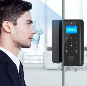 Smart Glass Door Digital Lock 3D Face Fingerprint IC Card Recognition Tuya Access