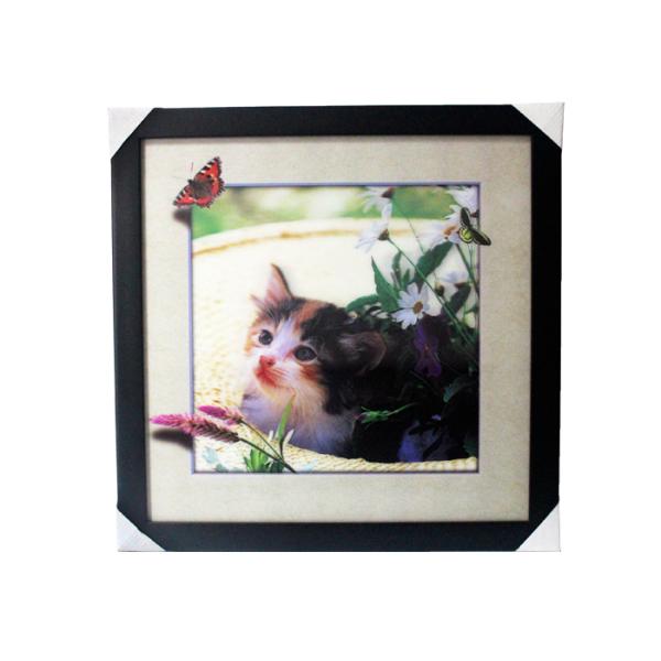5D 3D Lenticular Pictures