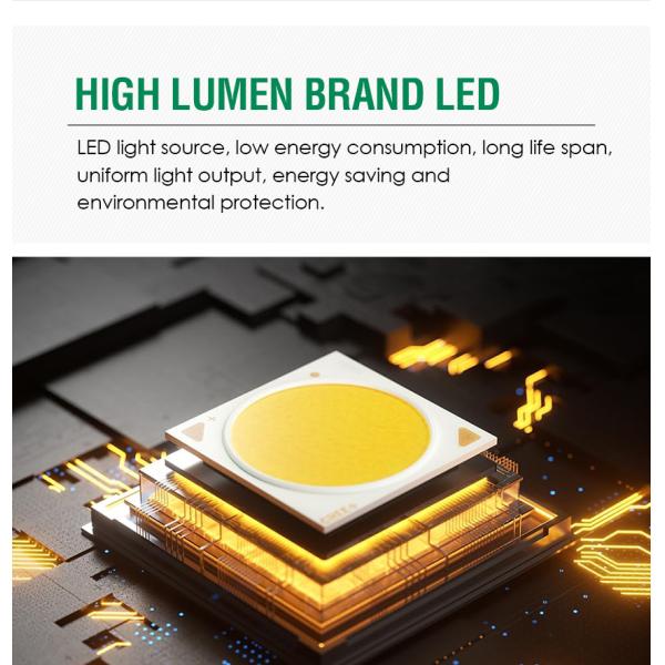 Modern Outdoor Wall Light 8W 3000K Warm White Exterior Lighting For House Front Door