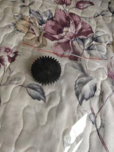 Buy cheap A040264 Noritsu Minilab Parts TEETH 31 Gear For Noritsu Qss 3101 3102 3201 product