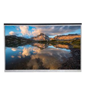 350Cd/m2 High Brightness LCD Display 10 Inch LCD Screen