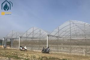 China Film Multi Span Nursery Greenhouse Prefabricated Hydroponic System Greenhouse on sale