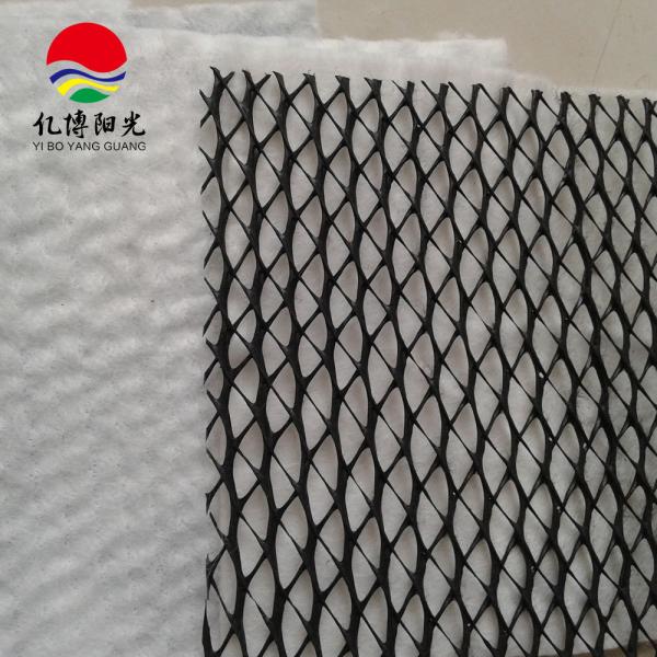 Quality Experience the Difference of Our HDPE Mesh 3D Composite Drainage Geonet for Other Uses for sale