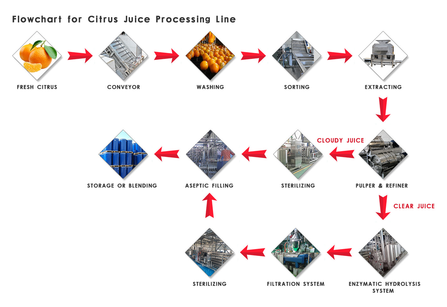 Professional Tangerine Citrus Processing Equipment 5T/H ISO Certificate