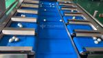 PLC Control System 12 Head Combination Weigher For Squid Cone Quail Eggs