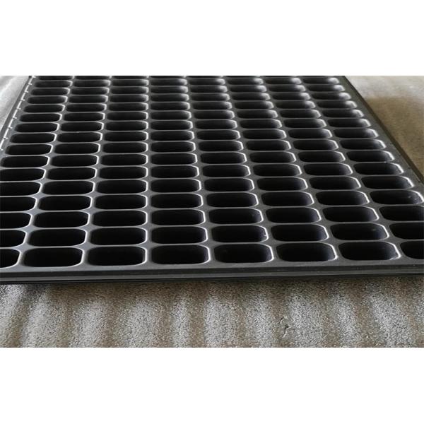 60 Cells Seed Planter Tray