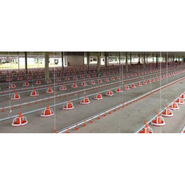 Broiler Automatic Feeder Chain Feeding System Poultry