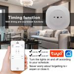 Electric Wifi Smart Plug 16a 2.2KW 3.5KW Itlay Standard Timer Smart Plug