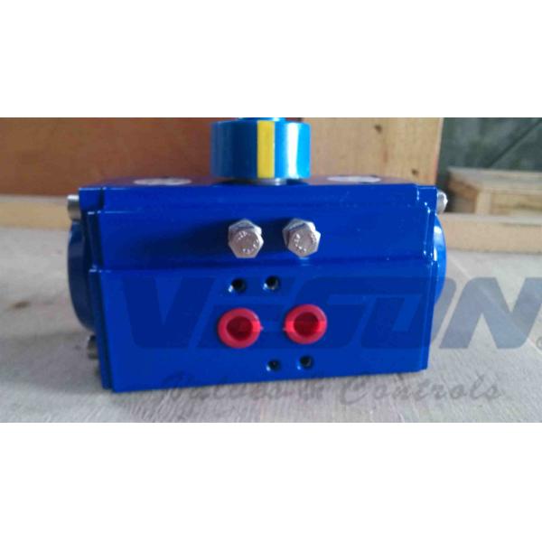 PTFE Coating Pneumatic Rack And Pinion Actuator