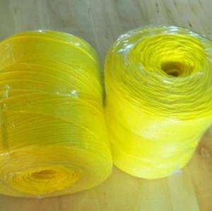 Buy cheap UV Treated High Tenacity Polypropylene Twine , Poly Baler Twine Blue Red Color product