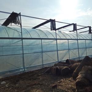 China Multi-Span Greenhouse Kits Plastic Film Hydroponics Greenhouse For Sale on sale