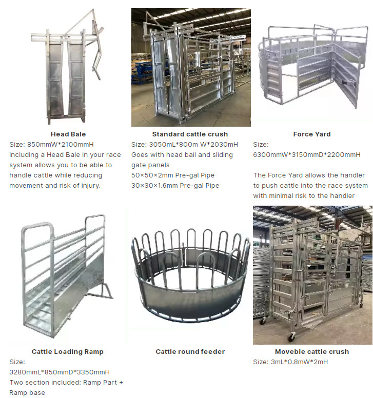 Galvanized Feeder With Tombstone Railings For Cattle 12 Feed Openings