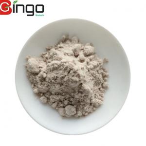 China Dark Plum Fruit Powder, Top Quality Dark Plum Juice Powder Armeniaca Mume Sieb. Extract on sale
