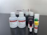 Immunoassay IHC Detection Kit Keypath p16/Ki-67 Staining Reagent for Cervical