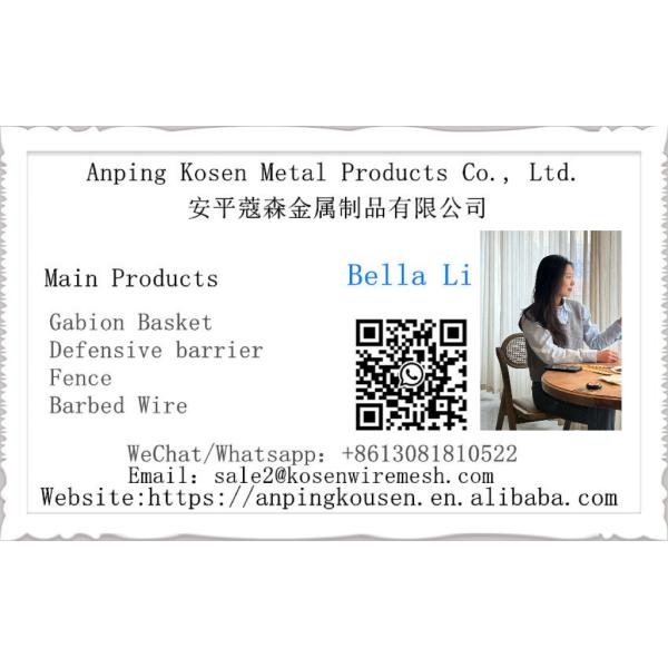 Square or Rectangle Hole Zinc Coated Wire Mesh Galvanized Bird Cage for Fence Mesh