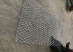 Seawall Multiple Twisted 4mm PVC Hexagonal Mesh