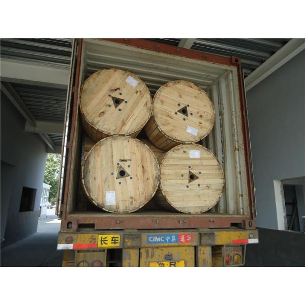 HMWPE Sheath Cathodic Protection Cable Copper Conductor PVDF Insulation