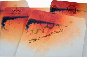 Buy cheap Double Window Custom Packaging Envelopes Multi Colors Autumn Full Printing product