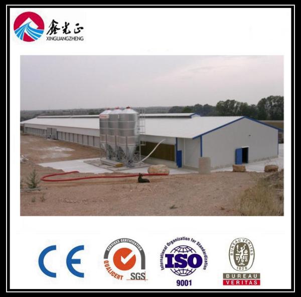 Quality CE Broiler Chicken Cage System Pan Feeding System For Poultry Farming for sale