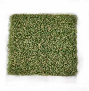 Buy cheap Indoor SGS Artificial Golf Turf Grass 15mm Putting Green product
