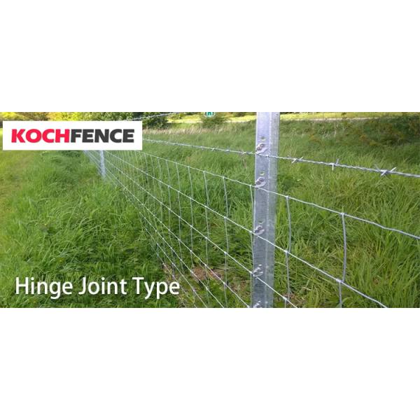 Windproof Grassland Fence , Great Toughness Sheep Farm Fence Rainproof