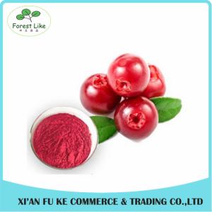 China Food Ingredients Fruit Extract 100% Natural Bilberry Extract Powder on sale
