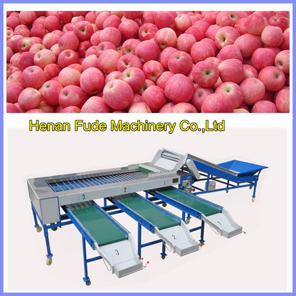 Quality apple sorting machine, mango sorting machine for sale