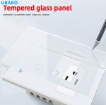 US Standard Type 118 WIFI 2 Gang Switch And Socket Combination