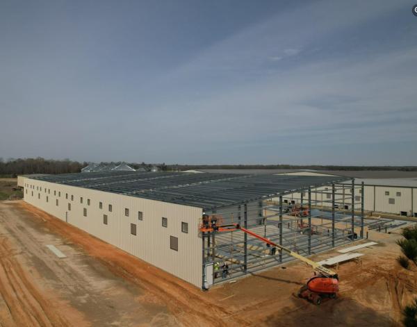 Quality Metal Building Structure Steel Frame Building Construction Customized for sale