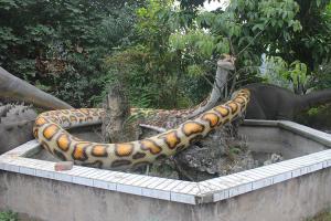Remote Control Lifelike Animatronic Snake Boa Constrictor 110 / 220V AC Powered